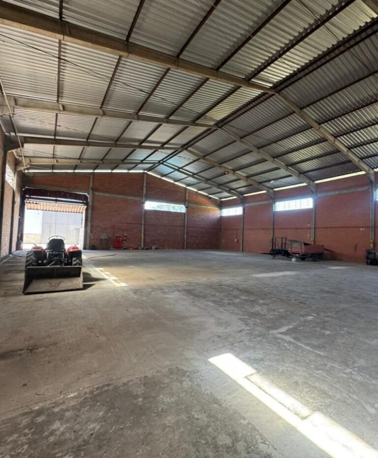 WhatsApp Image 2025-11-05 at 15.15.22